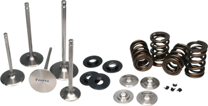 Ferrea BMW N54 Single Spring Kit