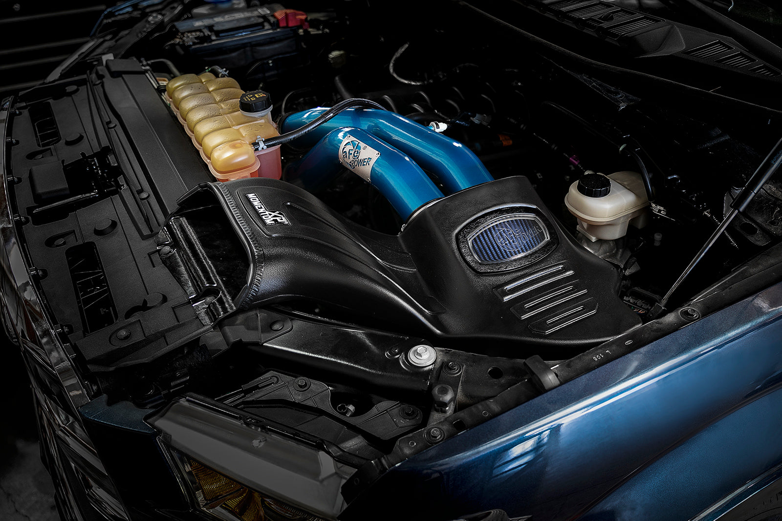 aFe Momentum XP Cold Air Intake w/ Pro 5R Blue | Ford F-150 V8 5.0L 2015-19 (50-30024RL)
