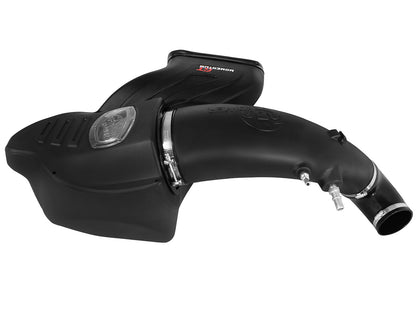 aFe Momentum GT Cold Air Intake System w/ Pro DRY S Filter | Ford F-150 V8 5.0L (15-17) (51-73114)