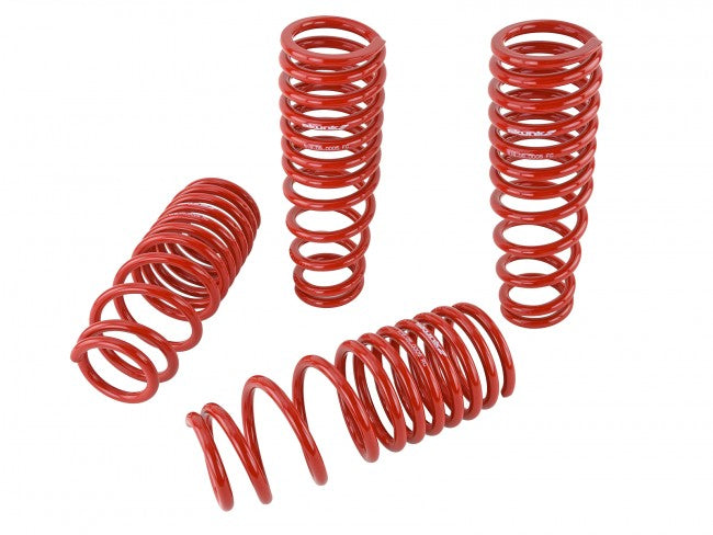 Skunk2 Lowering Springs | 1992-1995 Honda Civic (519-05-1480)