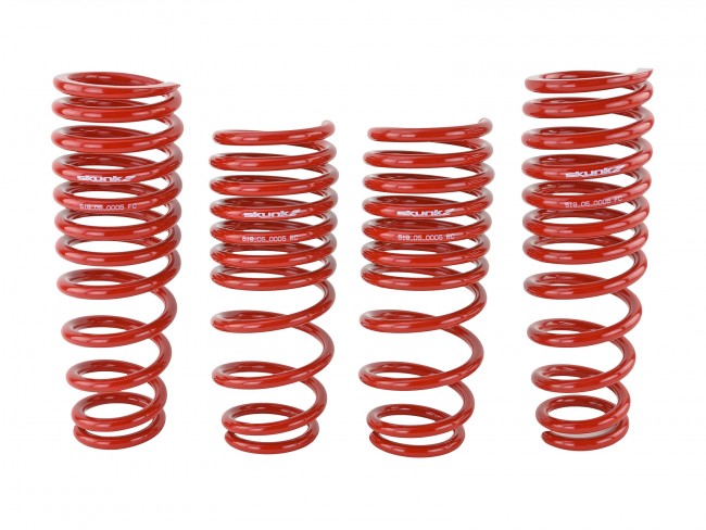 Skunk2 Lowering Springs | 1996-2000 Honda Civic (519-05-1550)