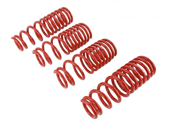 Skunk2 Lowering Springs | 1996-2000 Honda Civic (519-05-1550)
