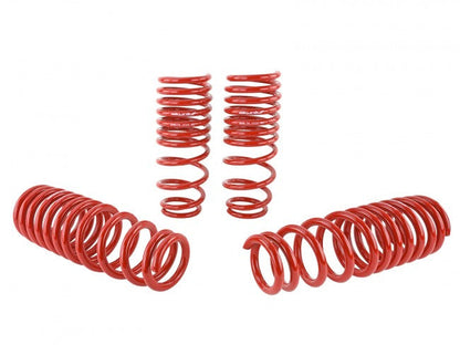Skunk2 Lowering Springs | 1996-2000 Honda Civic (519-05-1550)