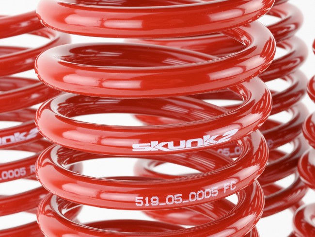 Skunk2 Lowering Springs | 1996-2000 Honda Civic (519-05-1550)