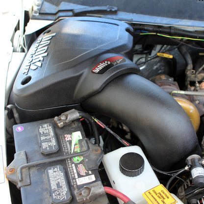 Banks Power Ram-Air Intake System - Dry Filter | Dodge Ram 5.9L (94-02) (42225-D)