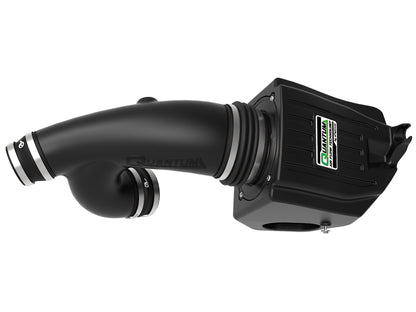 aFe Quantum Pro DRY S Cold Air Intake | Ford F150 EcoBoost V6 3.5L/2.7L (15-18) (53-10008D)