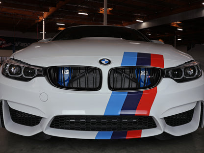 aFe Magnum FORCE Dynamic Air Scoop | BMW M3/ M4 (15-20) (54-13032SL)