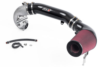 APR Carbon Fiber Intake Filter System | Audi RS3 (17-20) (CI100038-A)