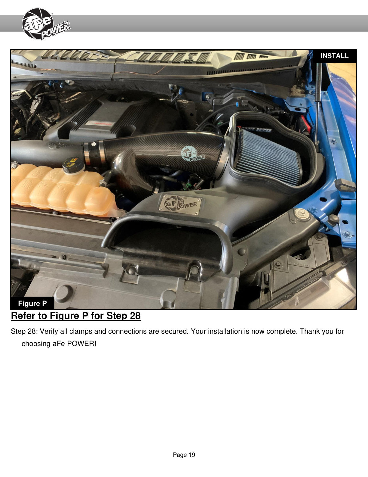 aFe Track Series Carbon Fiber Cold Air Intake w/ Pro 5R Filter | Ford F-150/Raptor (57-10010R)