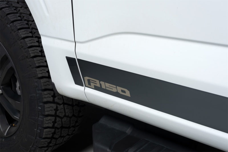 Putco 9751473BPFD Stainless Steel Rocker Panel Fits 21-22 F-150