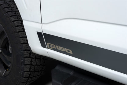 Putco 9751473BPFD Stainless Steel Rocker Panel Fits 21-22 F-150