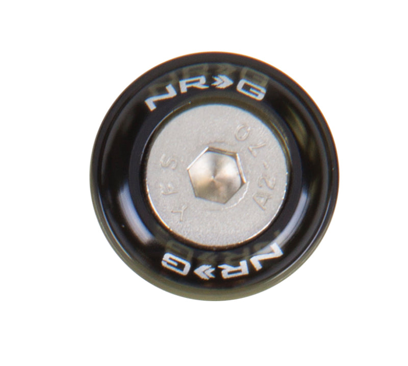 NRG Fender Washer Kit w/Rivets For Metal - Set of 10 (FW-110)
