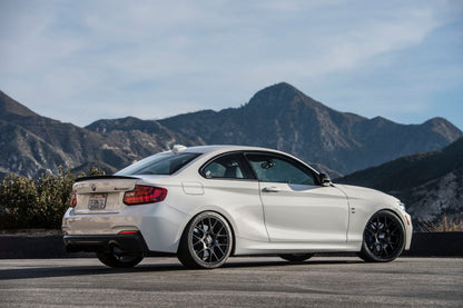 Dinan 14-16 BMW M235i Freeflow Axleback Exhaust System | BMW M235i (14-16) (D660-0047-BLK)