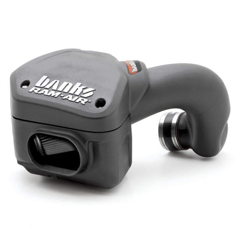 Banks Power Ram-Air Intake System - Dry Filter | Dodge Ram 5.9L (94-02) (42225-D)