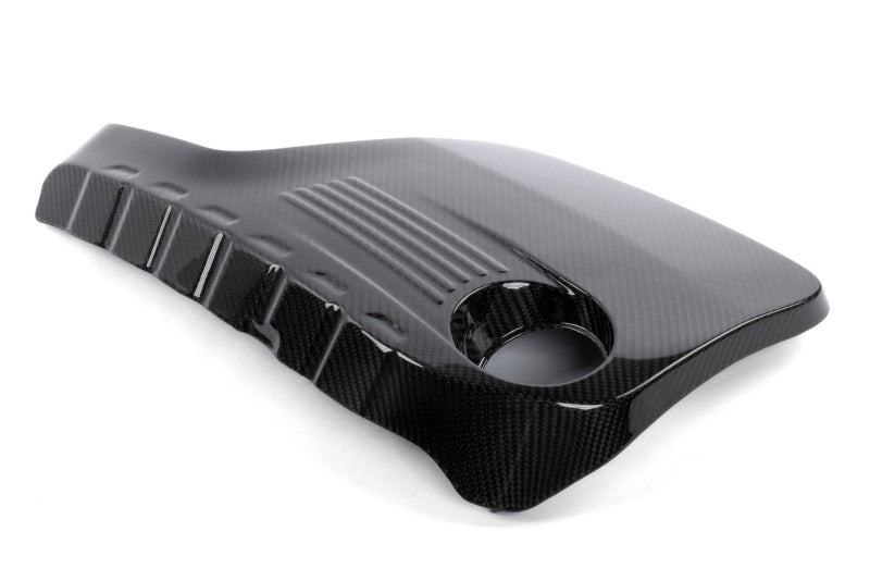 Dinan 15-18 BMW M3 Carbon Engine Cover | BMW M3 (15-18) (D590-0006)