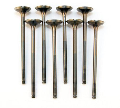 BLOX Racing D16 Flat Intake Valve Set | Multiple Honda Fitments (BXPT-20250)