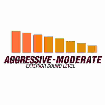 Flowmaster FlowFX Cat-Back Exhaust For Dodge Ram 1500 5.7L (717995)