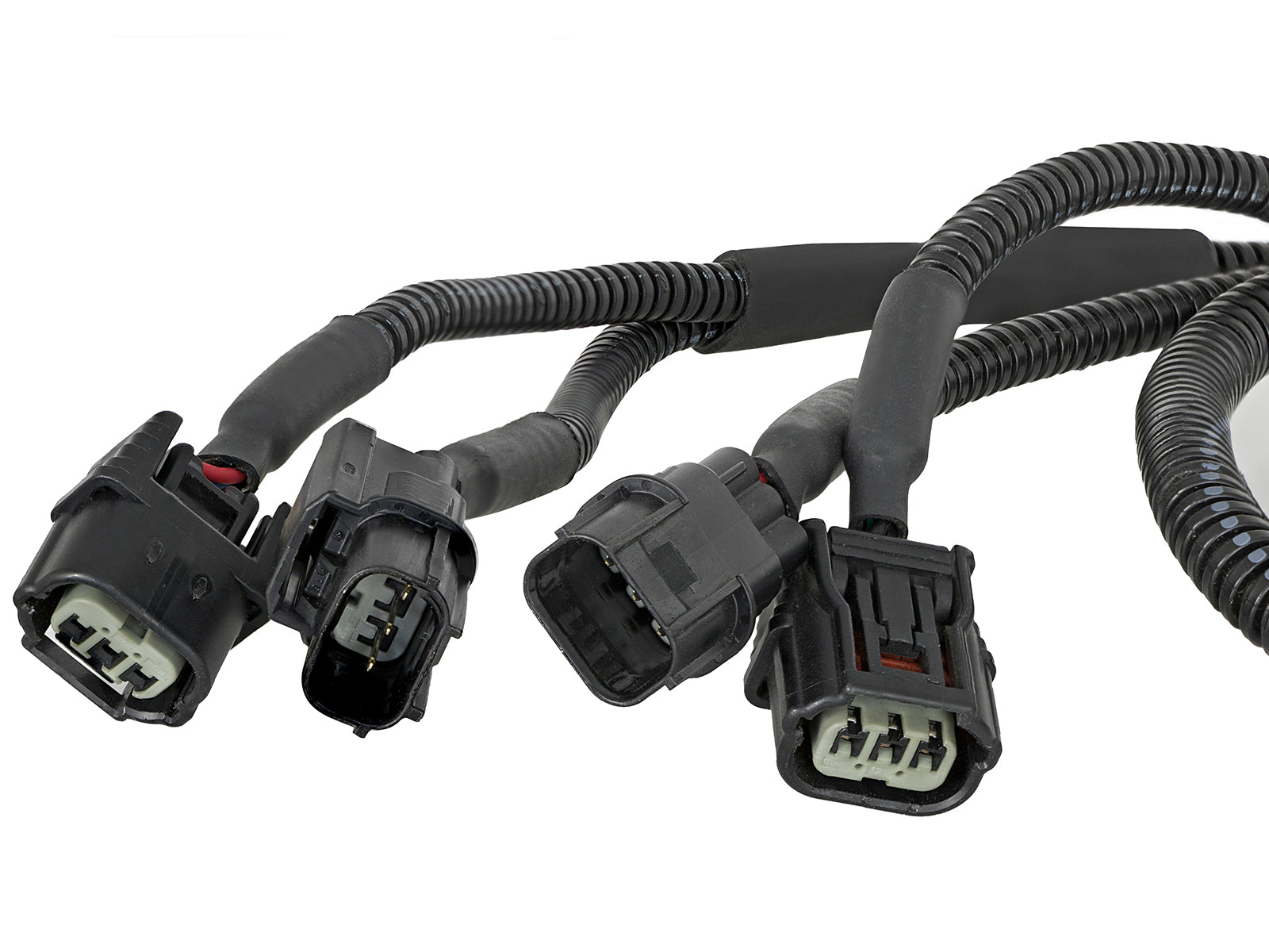 aFe Scorcher Module | Honda Civic/Accord/Type R/Integra (13-26) (77-46601)