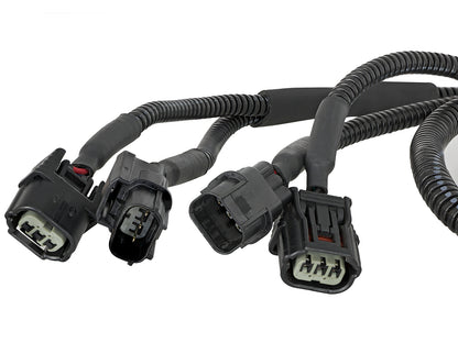 aFe Scorcher Module | Honda Civic/Accord/Type R/Integra (13-26) (77-46601)