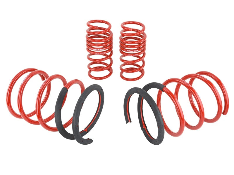 Skunk2 Racing Lowering Coil Spring Set 2.25in - 2.00in | Acura RSX (02-04) (519-05-1670)