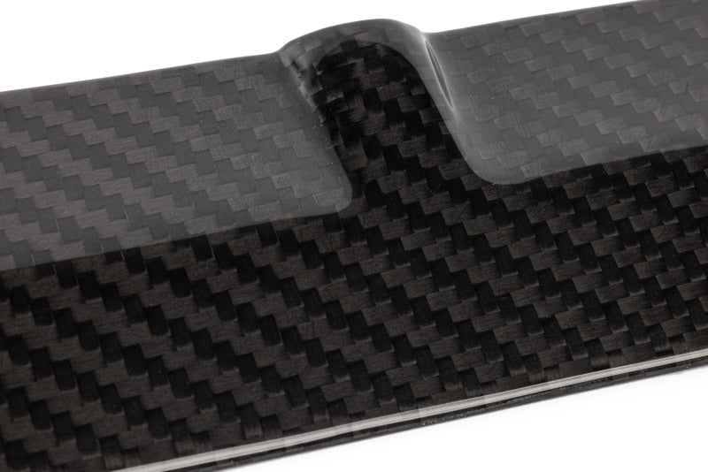 APR Carbon Fiber Intake Manifold Cover Plate | Audi RS3 (17-20) MS100251