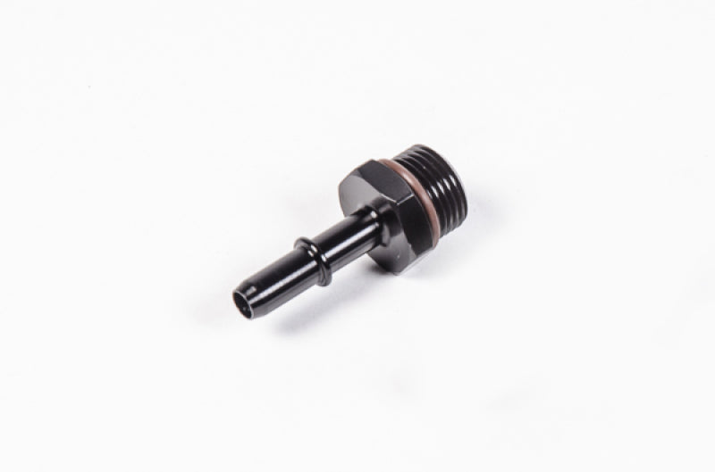 Radium Engineering 8AN ORB Fittings