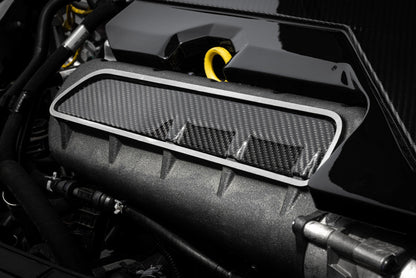 APR Carbon Fiber Intake Manifold Cover Plate | Audi RS3 (17-20) MS100251