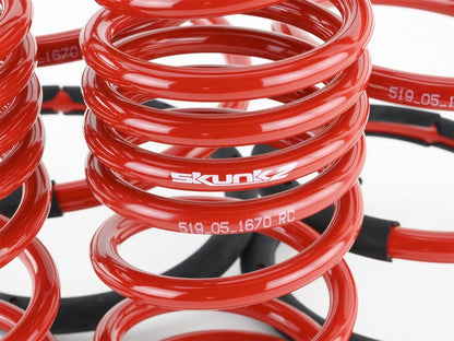 Skunk2 Racing Lowering Coil Spring Set 2.25in - 2.00in | Acura RSX (02-04) (519-05-1670)