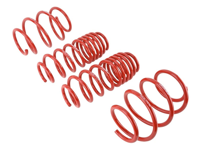 Skunk2 Lowering Springs | 2016-2021 Honda Civic Non Type-R (519-05-1775)