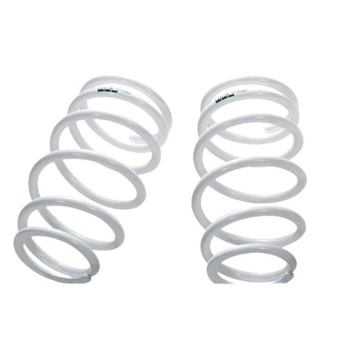 HKS MAX 4 SP BNR34 Rear Springs w/ 8K Spring Rate ( 1790-HD030 ) (G48311-K00470-00)