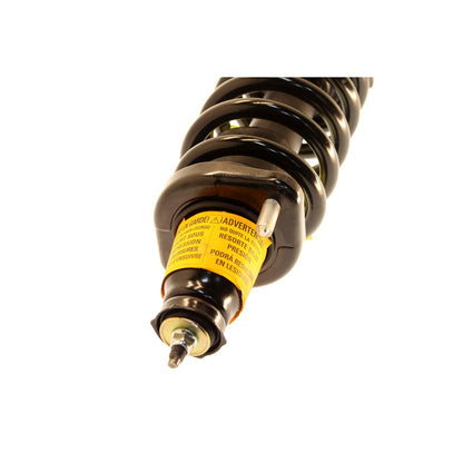 KYB Shocks & Struts Strut Plus Rear Left HONDA CR-V 2004-2002 | SR4192