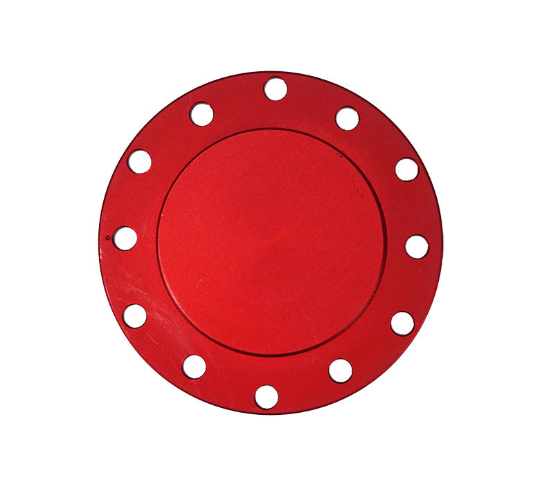 NRG HORN DELETE PLATE "FLUSH"