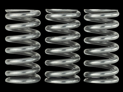 Skunk2 Ultra Valve Springs and Spring Base Kit - K20C1 / K20C4