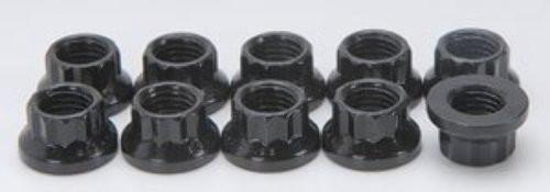 ARP M10 x 1.25 12pt Nut Kit (300-8364)