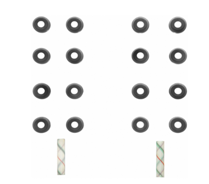 Fel-Pro Valve Stem Oil Seal Set | Honda S2000 (04-09)/Civic Del Sol (93-97)/Civic (12-15) (SS702831)