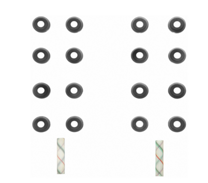 Fel-Pro Valve Stem Oil Seal Set | Honda S2000 (04-09)/Civic Del Sol (93-97)/Civic (12-15) (SS702831)