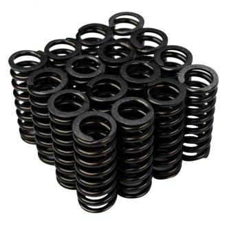 BLOX Racing Valve Springs for Honda D-Series SOHC VTEC (D16Z6-Y8) - BXPT-20301