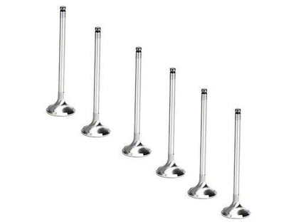 Brian Crower Stainless Steel Valves KA24DE Nissan S13 / S14