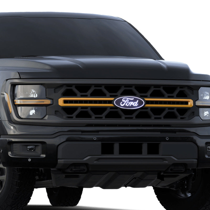 Putco 24 Ford F-150 Emblem w/camera cutout | Ford F-150 (24) (92609)