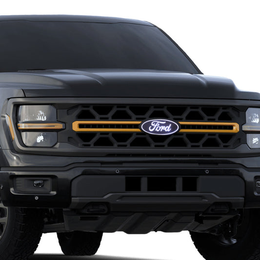 Putco 24 Ford F-150 Emblem w/camera cutout | Ford F-150 (24) (92609)