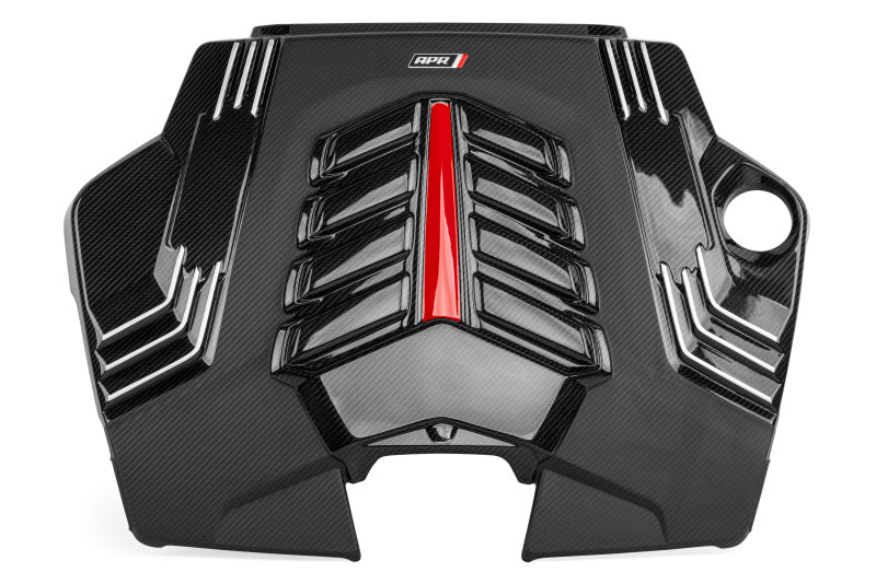 APR Carbon Fiber Engine Cover | Porsche Cayenne (19-26) (MS100256)