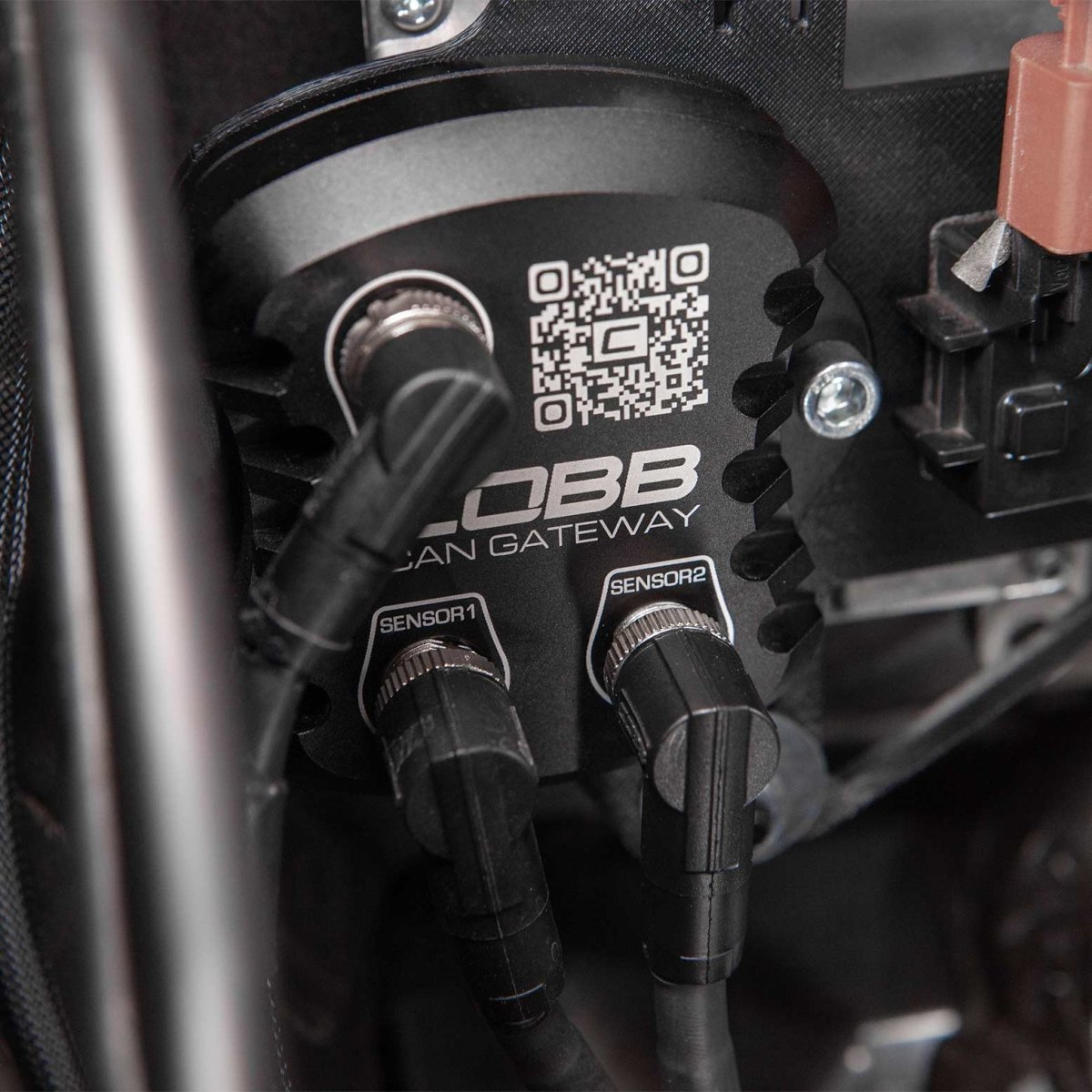 COBB CAN Flex Fuel Upgrade | Subaru Ascent/Legacy/Outback XT/Wilderness (23-25) (346625)