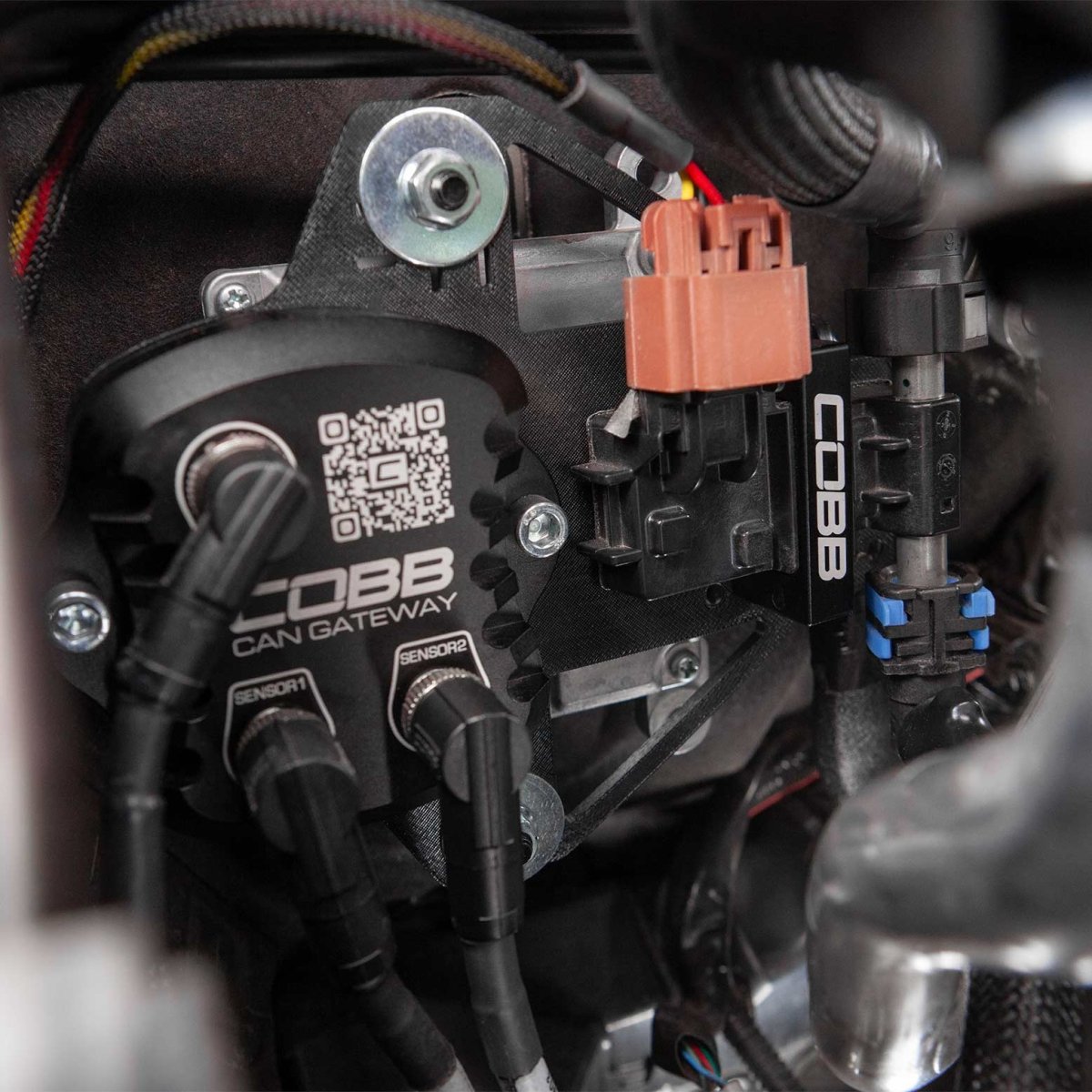 COBB CAN Flex Fuel Upgrade | Subaru Ascent/Legacy/Outback XT/Wilderness (23-25) (346625)
