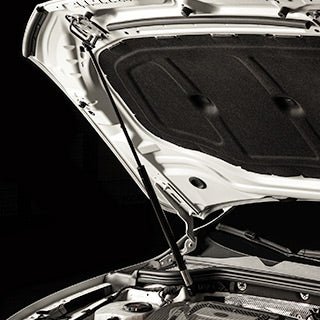 COBB Hood Struts Kit | VW Golf GTI/R (22-24) (8V3600)
