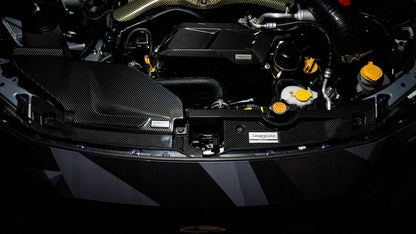 Compressive Tuning Carbon Fiber Smartflow Radiator Shroud 2022-2024 WRX