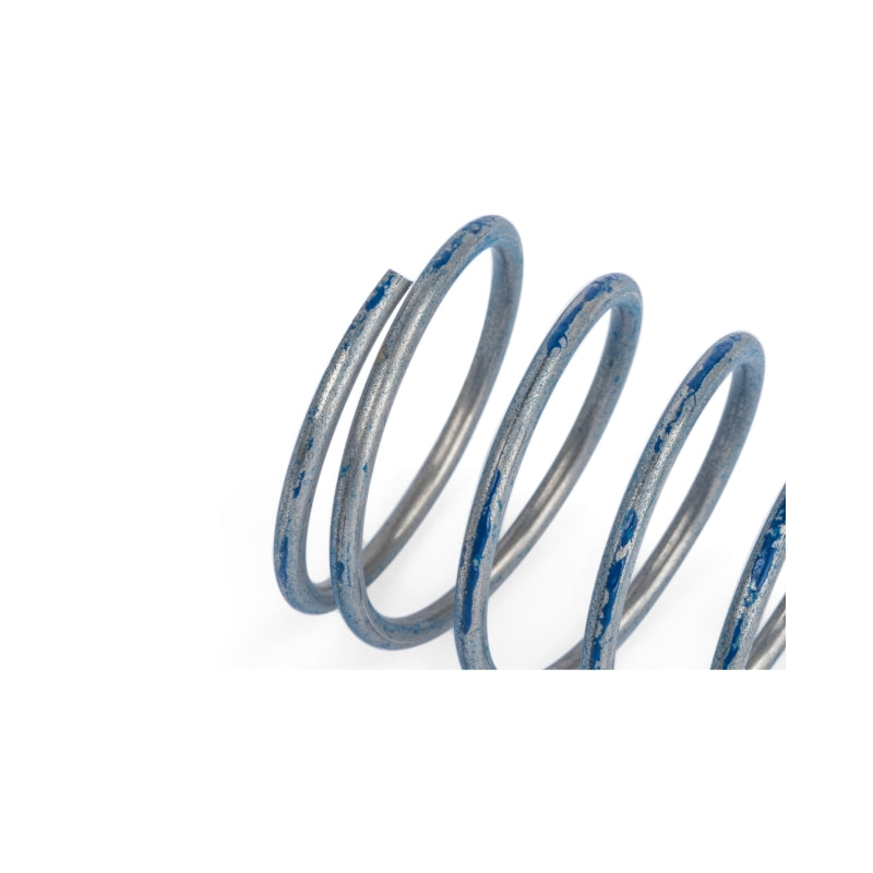 APR 76-83 Porsche 911 R1 DV Higher Pressure Spring | Porsche 911 (76-83) (Z1001791)