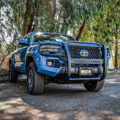 Westin Automotive 40-33885 Sportsman X Grille Guard For 2016-2023 Toyota Tacoma