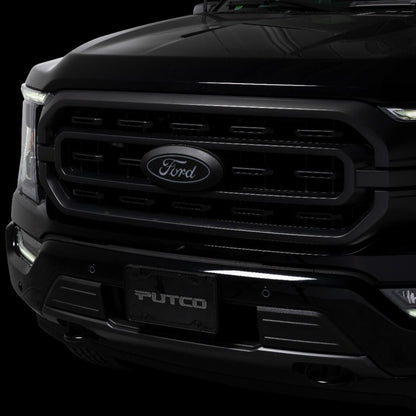 Putco 92601 Luminix Ford LED Emblems Fits 15-20 F-150