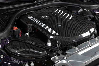 Dinan Carbon Engine Cover | BMW Z4 M40i (19-26) (D590-0003)