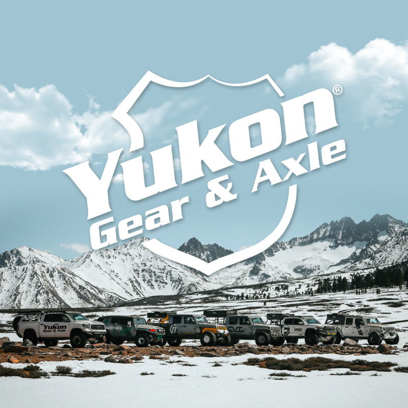 Yukon Gear 8.25in/213mm CHY 4.11 Rear Ring & Pinion Install Kit 29 Spline Positraction